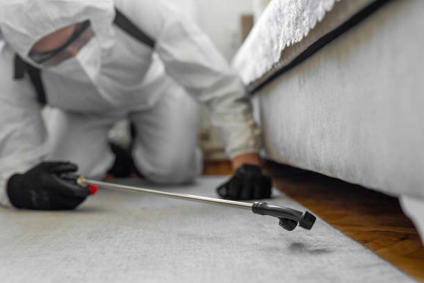 Professional Cockroach Control technician working in Whittier, CA